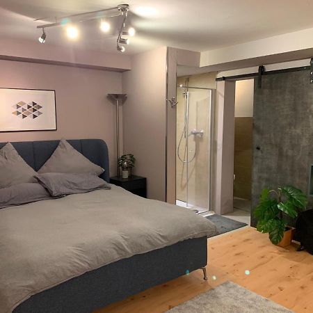 Top Studio Appartement Im Gruenen Nah Phantasialand Bruehl  Luaran gambar