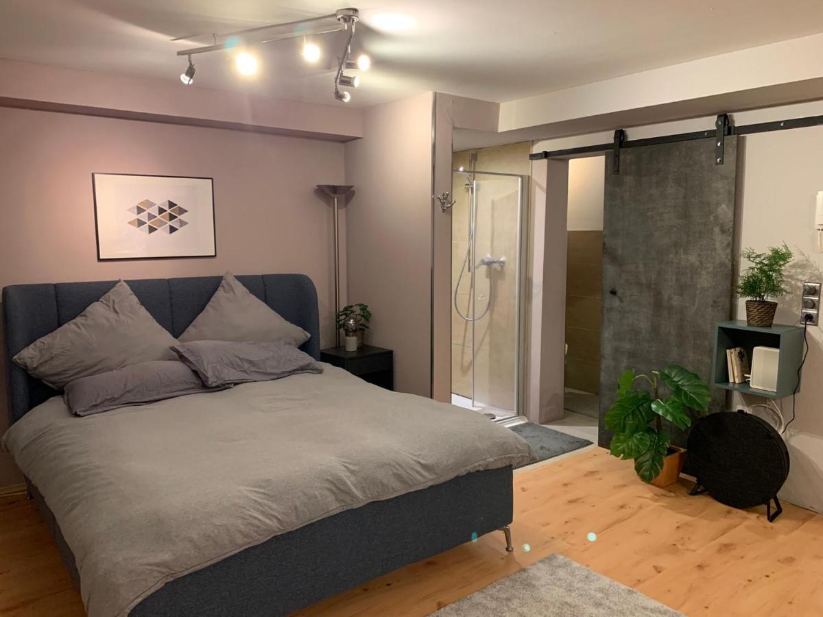Top Studio Appartement Im Gruenen Nah Phantasialand Bruehl  Luaran gambar